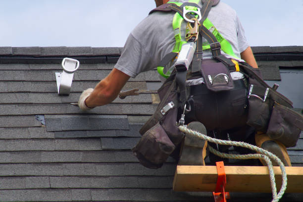 Best Roof Gutter Cleaning  in Knollwood, IL