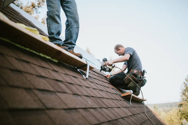 Best Flat Roof Repair Services  in Knollwood, IL